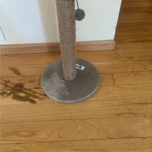 Gray Cat Scratching Post